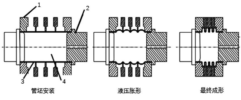 图6 金属不锈钢波纹管整体液压成形技术原理图